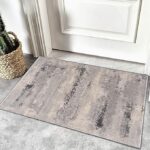 Gray textured rug at door with cactus plant