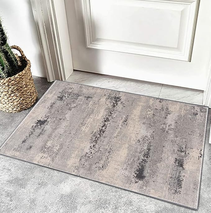 Gray textured rug at door with cactus plant