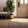 Cozy entryway with plant and colorful rug