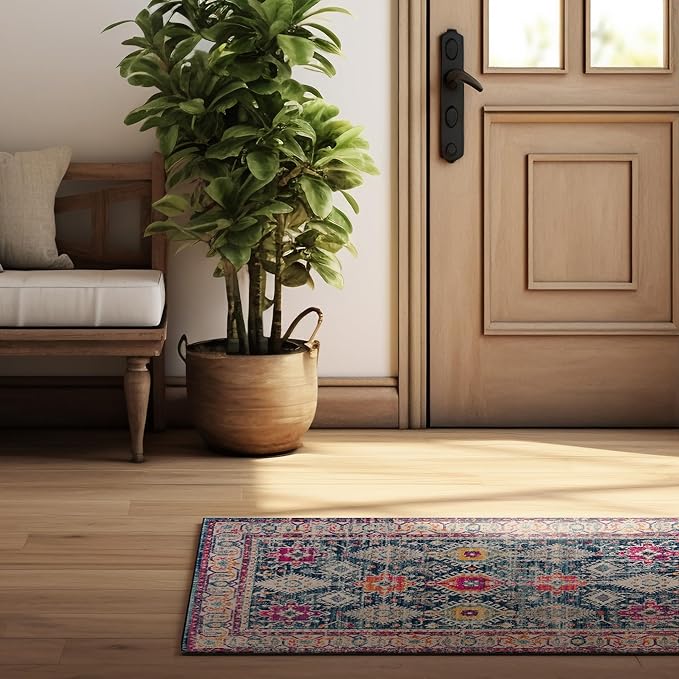 Entryway with plant, wooden door, colorful rug.