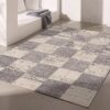 Gray and white checkered rug on the floor.