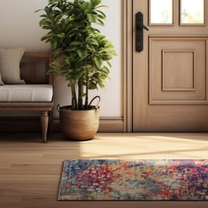 Cozy entrance with colorful rug and plant