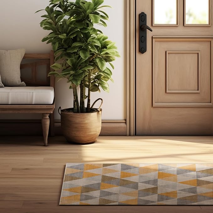 Stylish entryway with plant and geometric rug