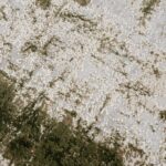 Abstract green and beige textured carpet design.