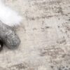 Decorative items on textured rug