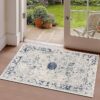Blue floral patterned rug in a sunlit room.