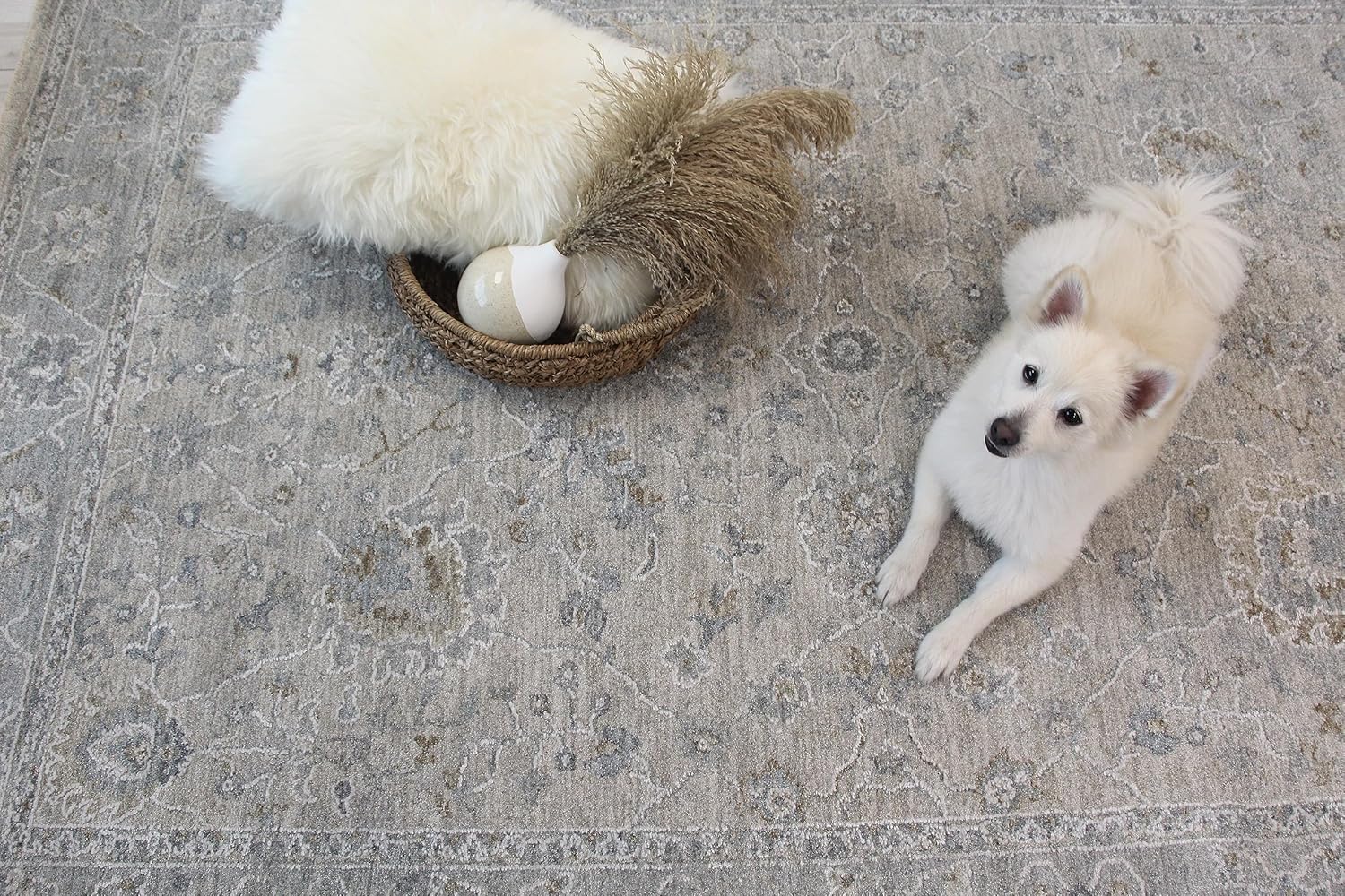 Dog on ornate rug with basket and cushion.