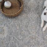 White dog on patterned gray rug with basket