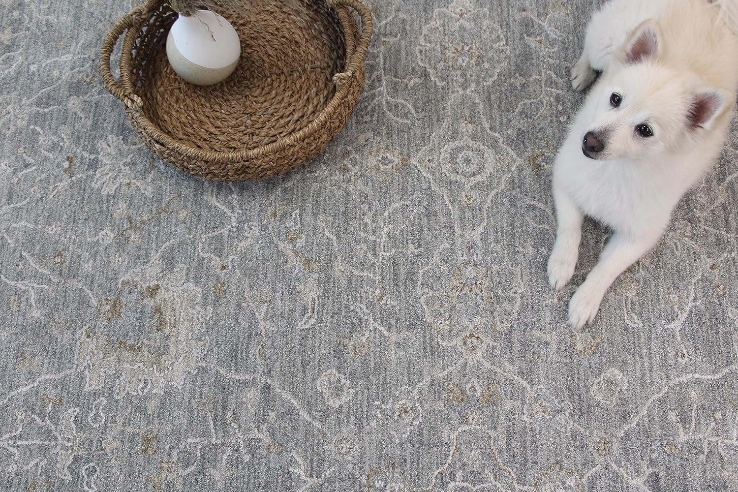White dog on patterned gray rug with basket