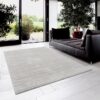 Modern living room with gray rug and plants.