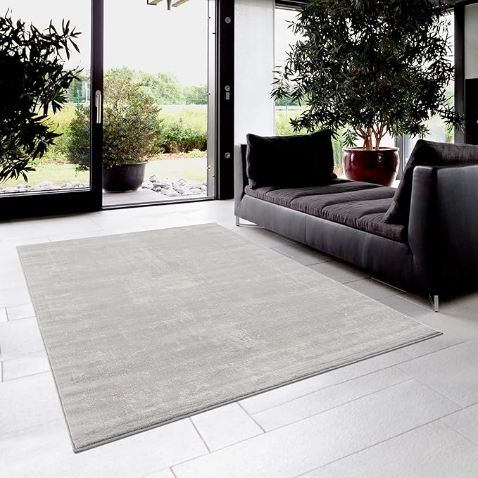 Modern living room with gray rug and plants.
