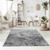 Modern living room with gray area rug and plants.