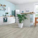 Modern kitchen with potted plant and light wood flooring.