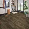 Modern laundry room with wooden floor