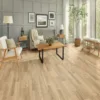 Modern living room with wooden flooring.