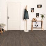 Modern entryway with dark wood flooring.