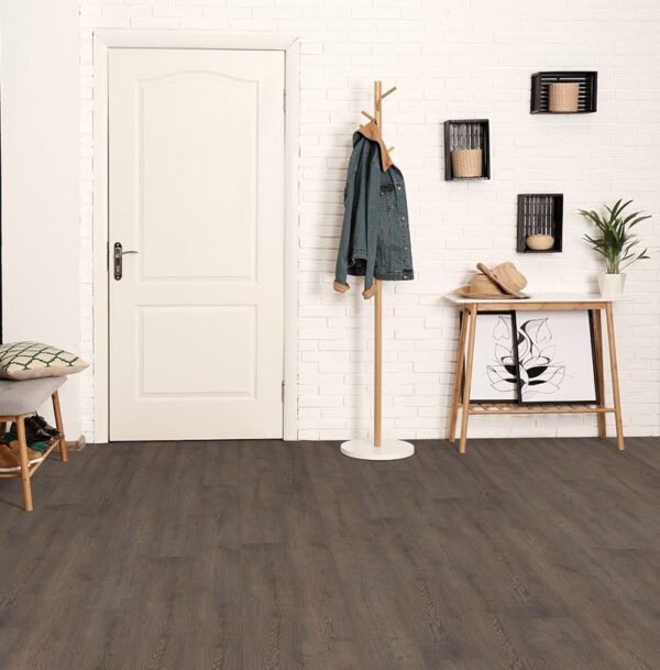 Modern entryway with dark wood flooring.