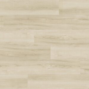 kenko collection clic cork ashland (copy)