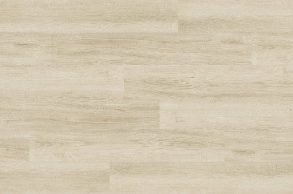 kenko collection clic cork ashland (copy)