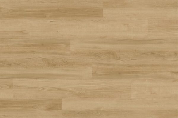 kenko collection clic cork satin
