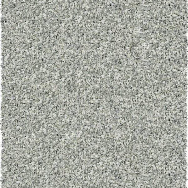 stevens omni,twilight 39001 6699,area rug,shag