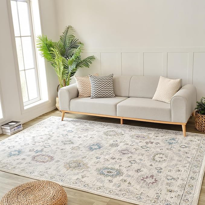 Modern living room with sofa, rug, and plants.