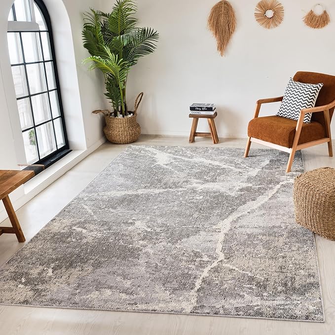 Modern living room with gray textured rug.
