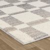 Checkered area rug on wooden floor