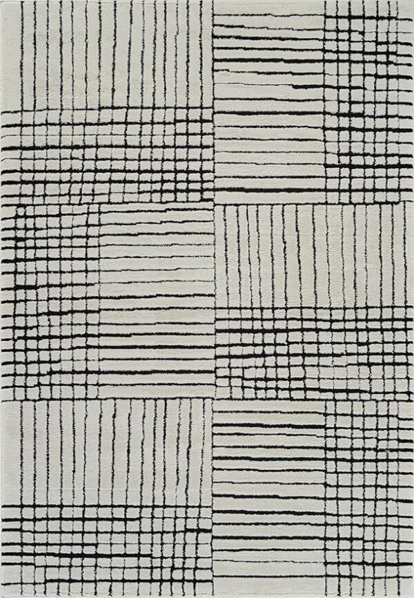 Geometric black and white checkered rug pattern.