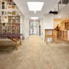 Modern library with bookshelves and carpet flooring.