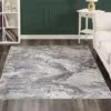 Modern gray area rug on wooden floor