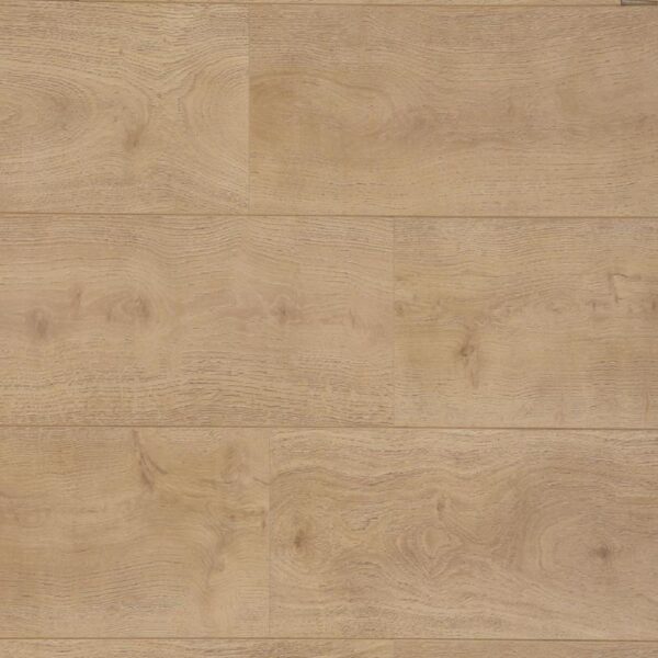 Light brown wood texture surface