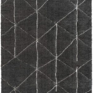 Dark gray rug with white grid pattern