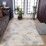 Modern living room with patterned rug and indoor plants.