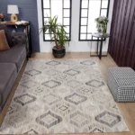 Modern living room with patterned rug and windows