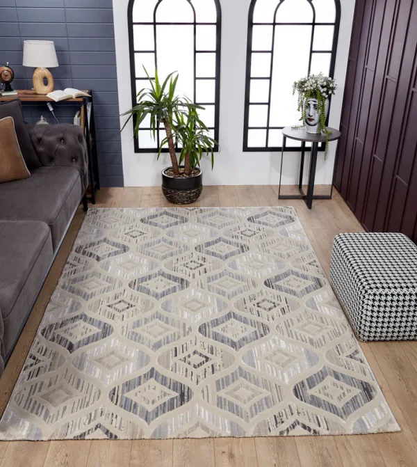 Modern living room with patterned rug and windows