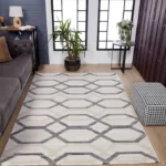 Living room with geometric patterned rug and plants