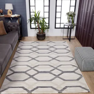 Living room with geometric patterned rug and plants
