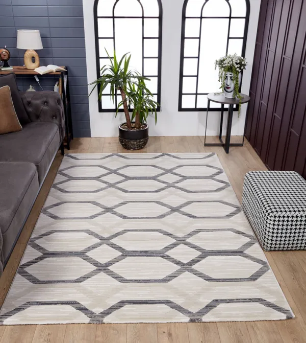 Living room with geometric patterned rug and plants