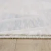 Close-up of carpet on wooden floor.