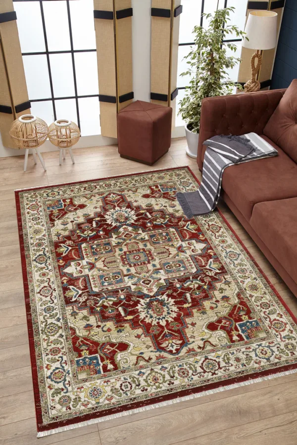 Living room with an ornate area rug.