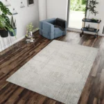 Cozy living room with gray rug and plants.