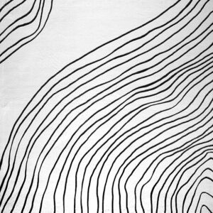 Abstract black lines on white textured background