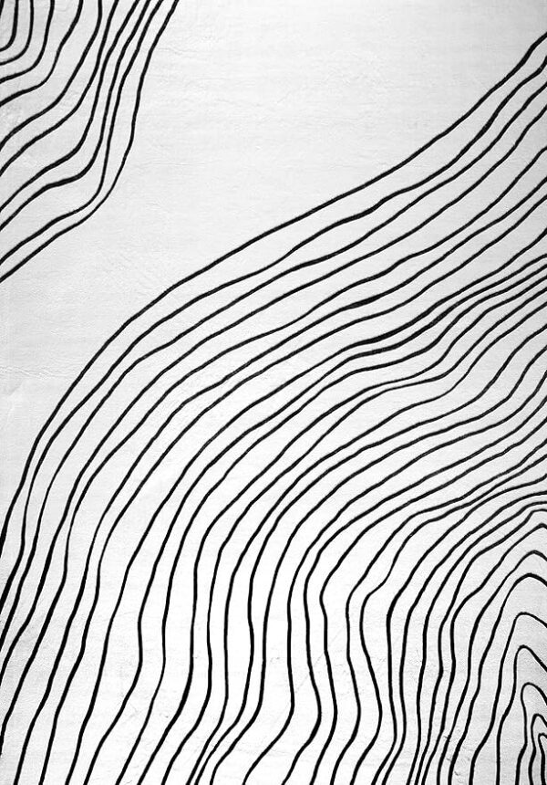 Abstract black lines on white textured background