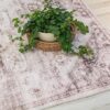 Green plant on woven basket on patterned rug.