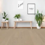 Minimalist living room with plants and framed wall art.