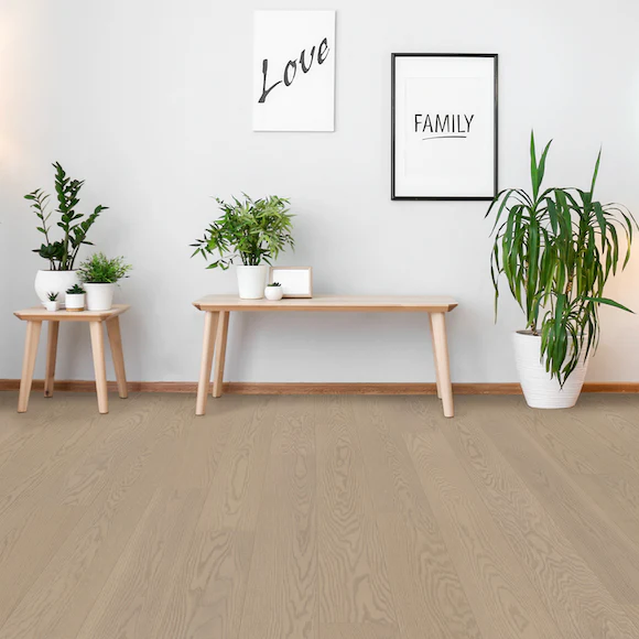 Minimalist living room with plants and framed wall art.
