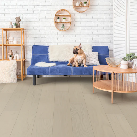 Dog on blue sofa in cozy living room