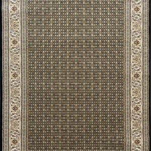 Intricate patterned area rug with ornate border design.