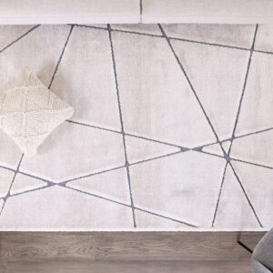 Geometric patterned rug on wooden floor.